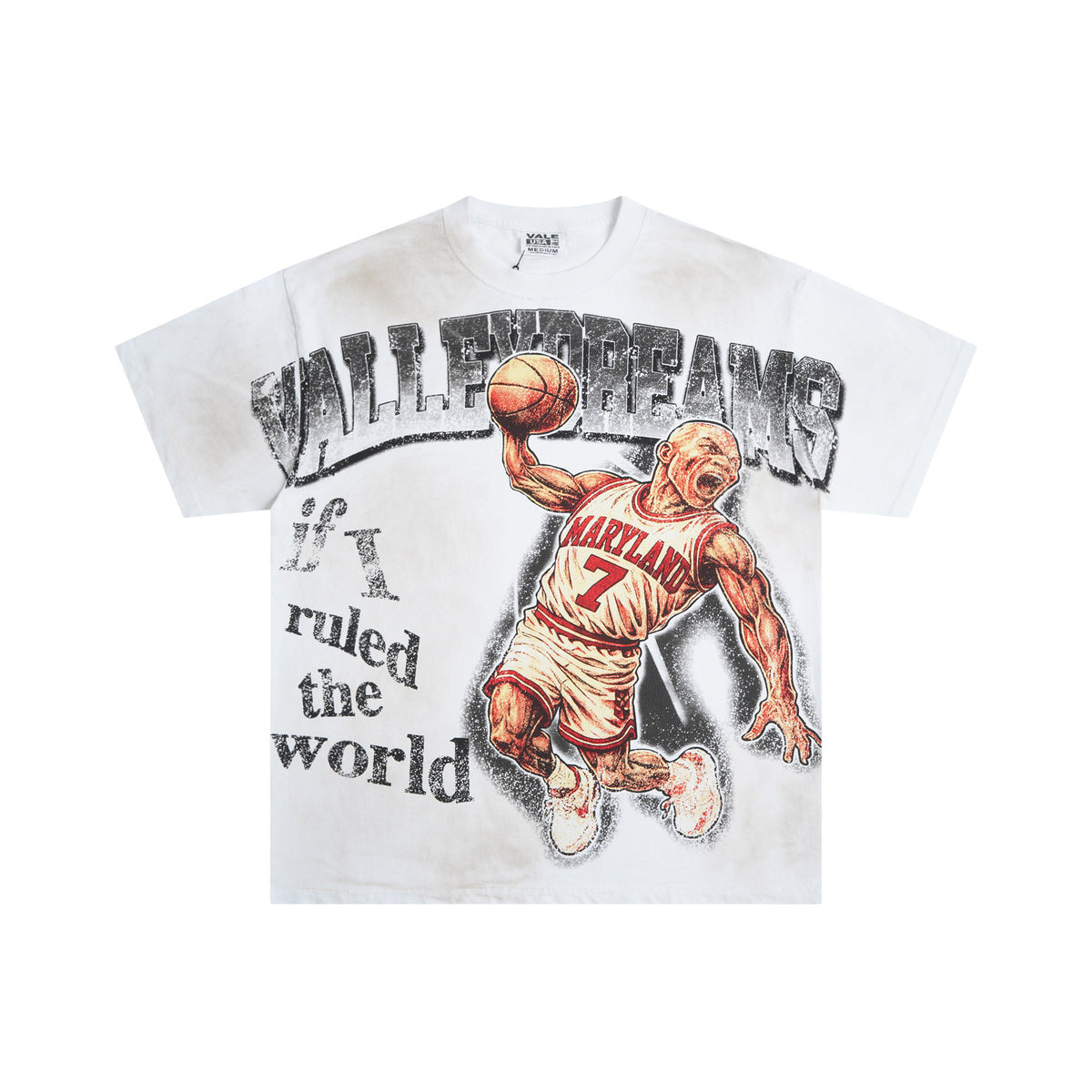 VALE VALLEY Hip Hop Heavyweight Printed Tee