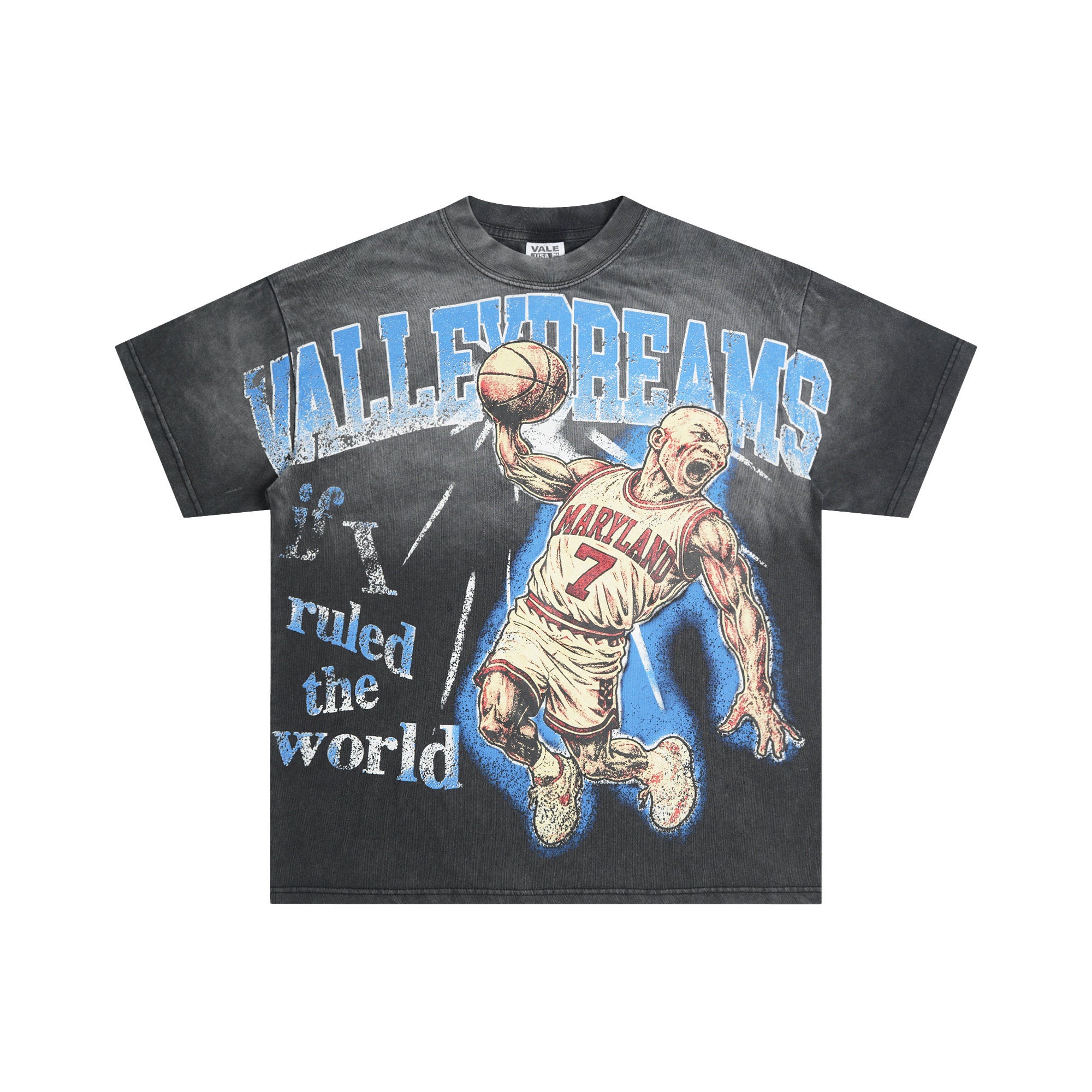 VALE VALLEY Hip Hop Heavyweight Printed Tee